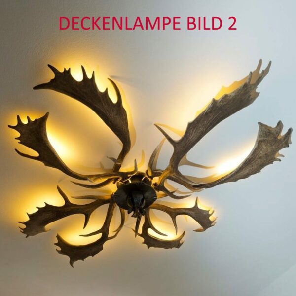 Deckenlampe-2 de